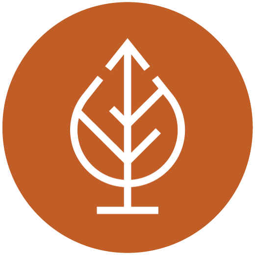 NoTies Consulting